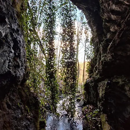 Ruhiges Im Pielachtal Fuer Einzel Bis Gruppen Im Naturerholungsgebiet Mainburg