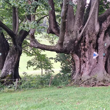 Family & Friends Adventures Mainburg