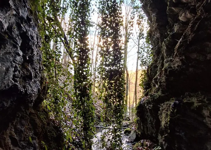 Pielachtal, Familiy&friends Mainburg