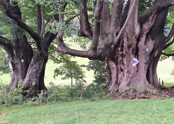 Family & Friends Adventures Mainburg